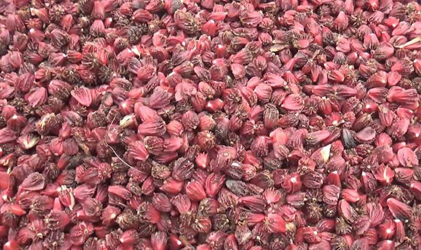 अलैँचीको भाउ सात वर्ष यताकै उच्च