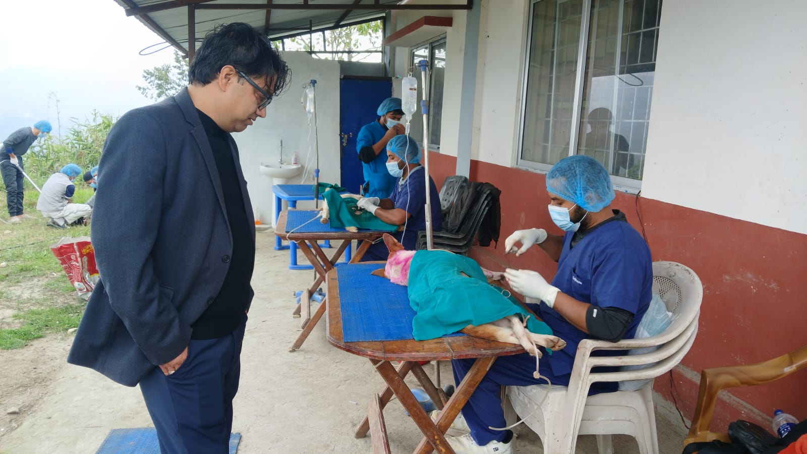 सूर्योदयमा सामुदायिक कुकुरको बन्ध्याकरण